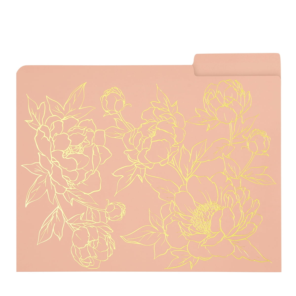 12 Pack Decorative File Folders, Assorted Gold Foil Floral Design 1/3 Cut Letter Size for Office Supplies, 11.5 x 9.5 in