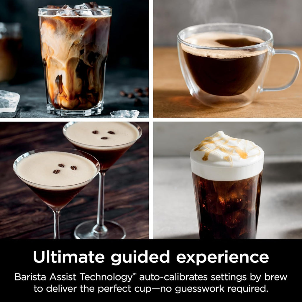 Italian coffee machine, drip coffee machine, rapid cold brew coffee machine, integrated grinder, hand-free milk frother, equipped with a strike plate, water filter, cleaning sheet, descaling agent