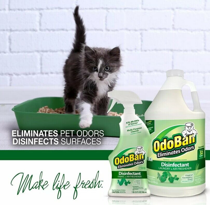 2 Packs OdoBan Odor Disinfectant (1 Gallon Concentrate 32 oz. Ready-to-Use)