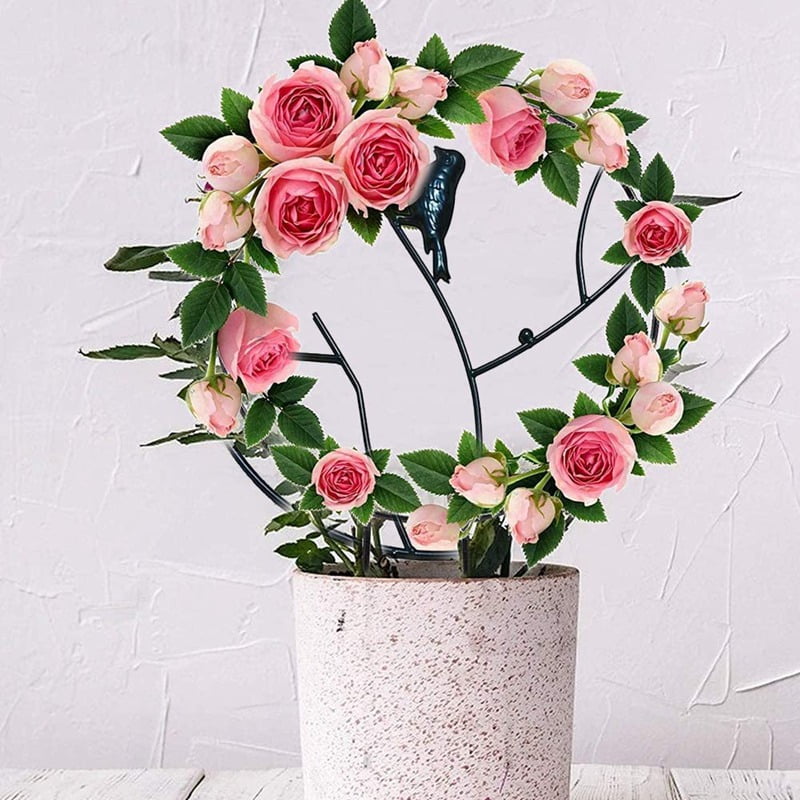 12Inch Trellis for Small Climbing Plants, Metal Bird Plant Supports for Potted Plants Indoor,Circle Trellis for Vines Vegetables Flowers Rose Jasmine Clematis Ivy(1PC)