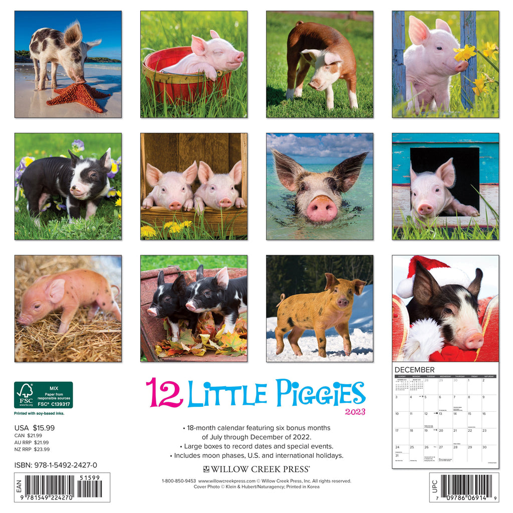 12 Little Piggies 2023 Wall Calendar