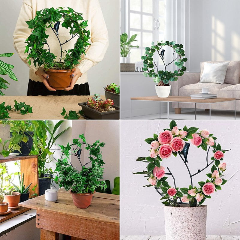 12Inch Trellis for Small Climbing Plants, Metal Bird Plant Supports for Potted Plants Indoor,Circle Trellis for Vines Vegetables Flowers Rose Jasmine Clematis Ivy(1PC)
