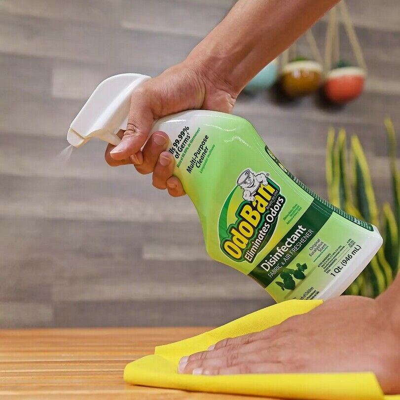 2 Packs OdoBan Odor Disinfectant (1 Gallon Concentrate 32 oz. Ready-to-Use)